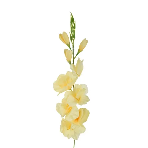 Gladiolus– vetvička 77 cm K321